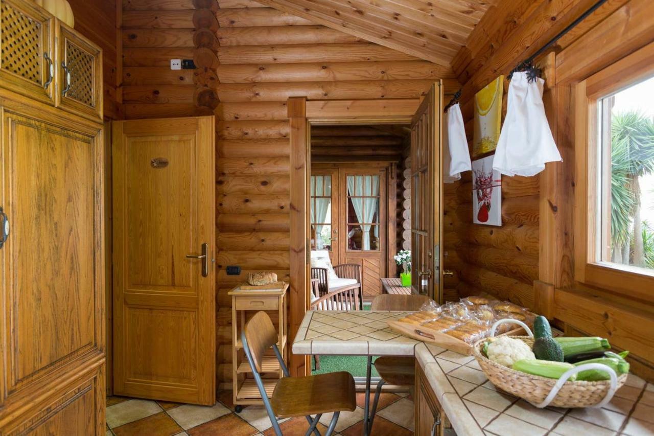 Nordic House Near The Beach In Quiet Neighborhood, All Amenities กาโกรอนเต ภายนอก รูปภาพ